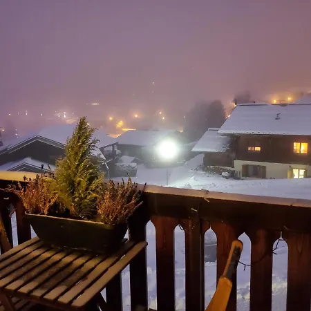 Avec Petit Balcon Et Cheminee - Grand Massif Les Carroz d'Araches